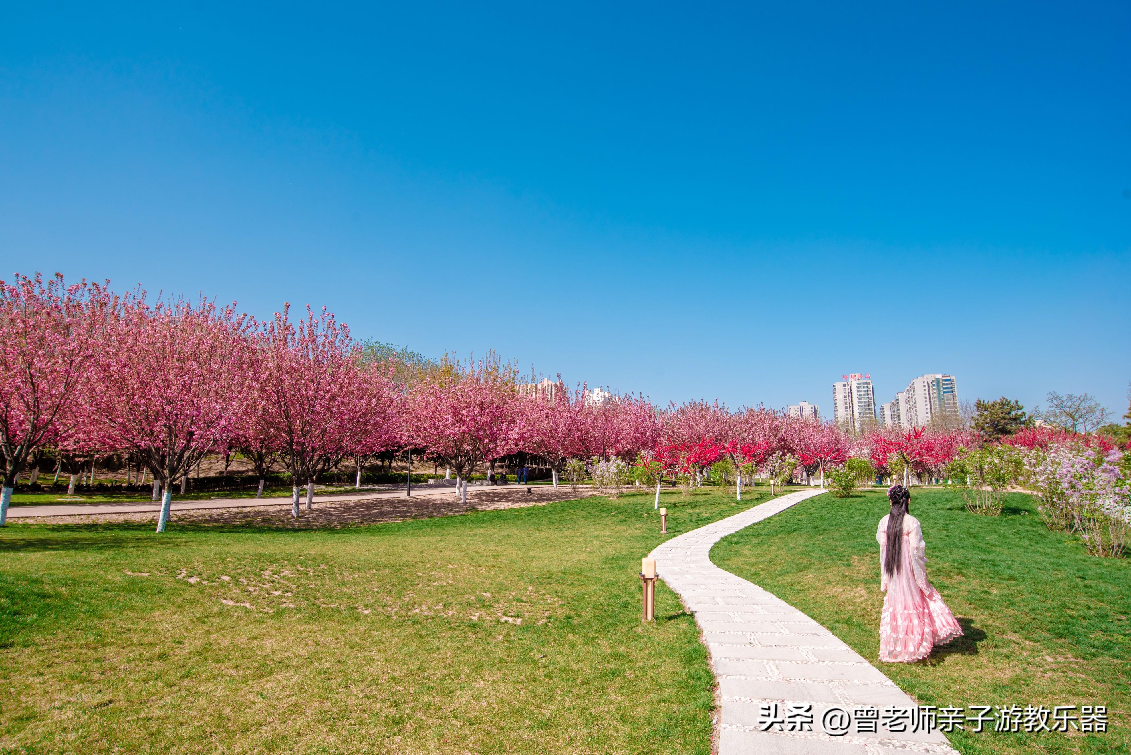 西安有什么好玩的地方（西安10大必游景区推荐）