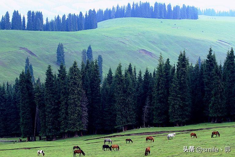 乌鲁木齐有哪些好玩的景点（细说乌鲁木齐5个最美旅游胜地）