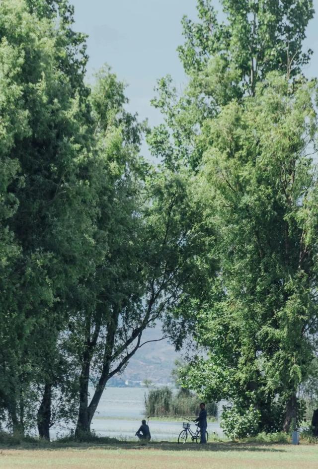到洱海旅游路线安排，最新攻略一篇告诉你