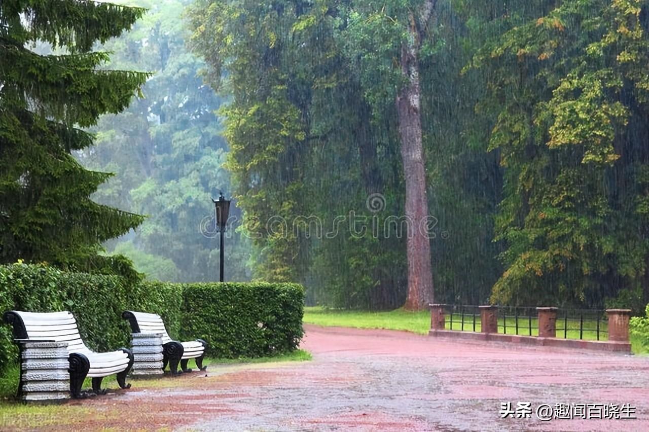 梦见下雨是什么征兆（附：周公解梦对下雨的解读）