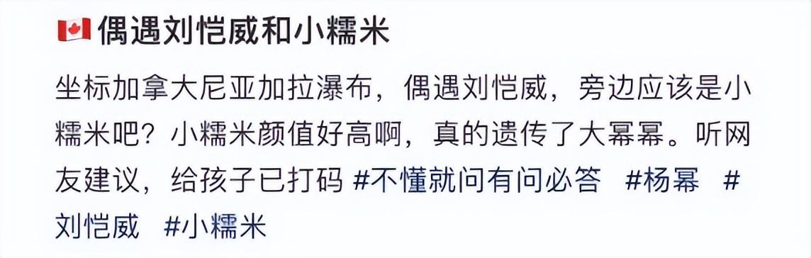 刘苡馨现在跟谁在一起了（刘恺威带糯米现身加拿大）