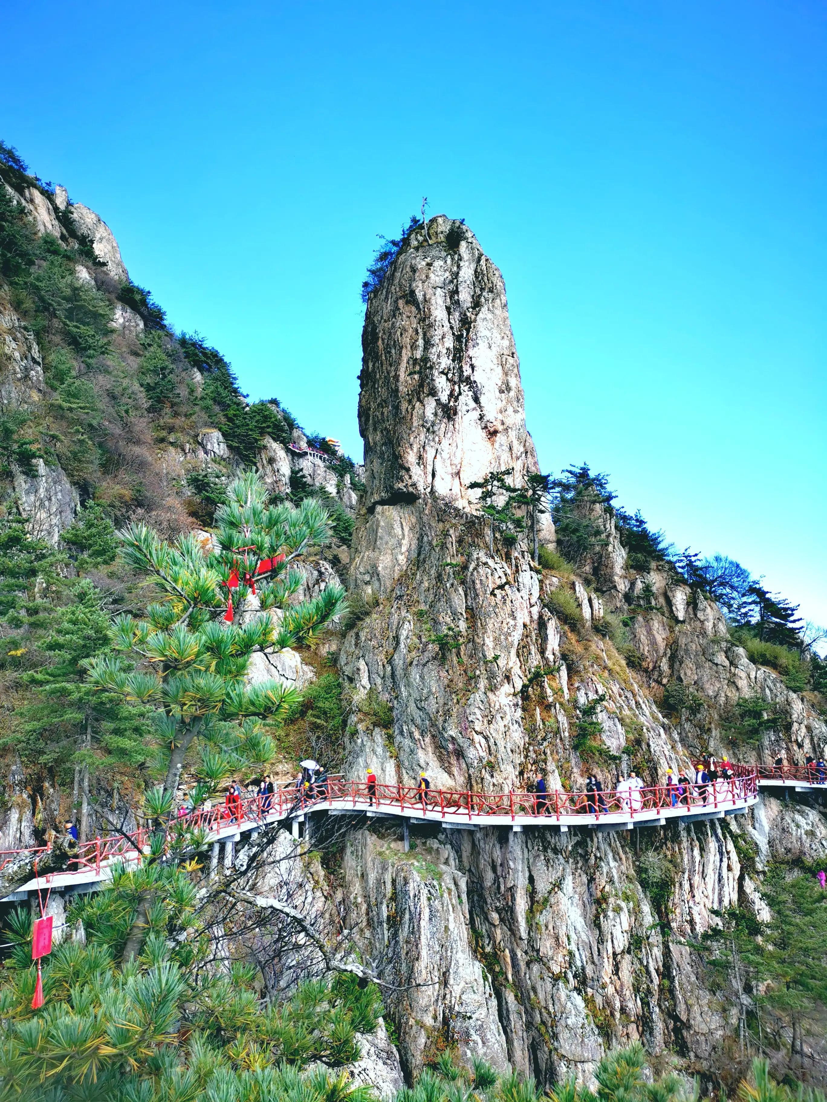 老君山風景區在哪裡(老君山地理位置與景觀介紹)