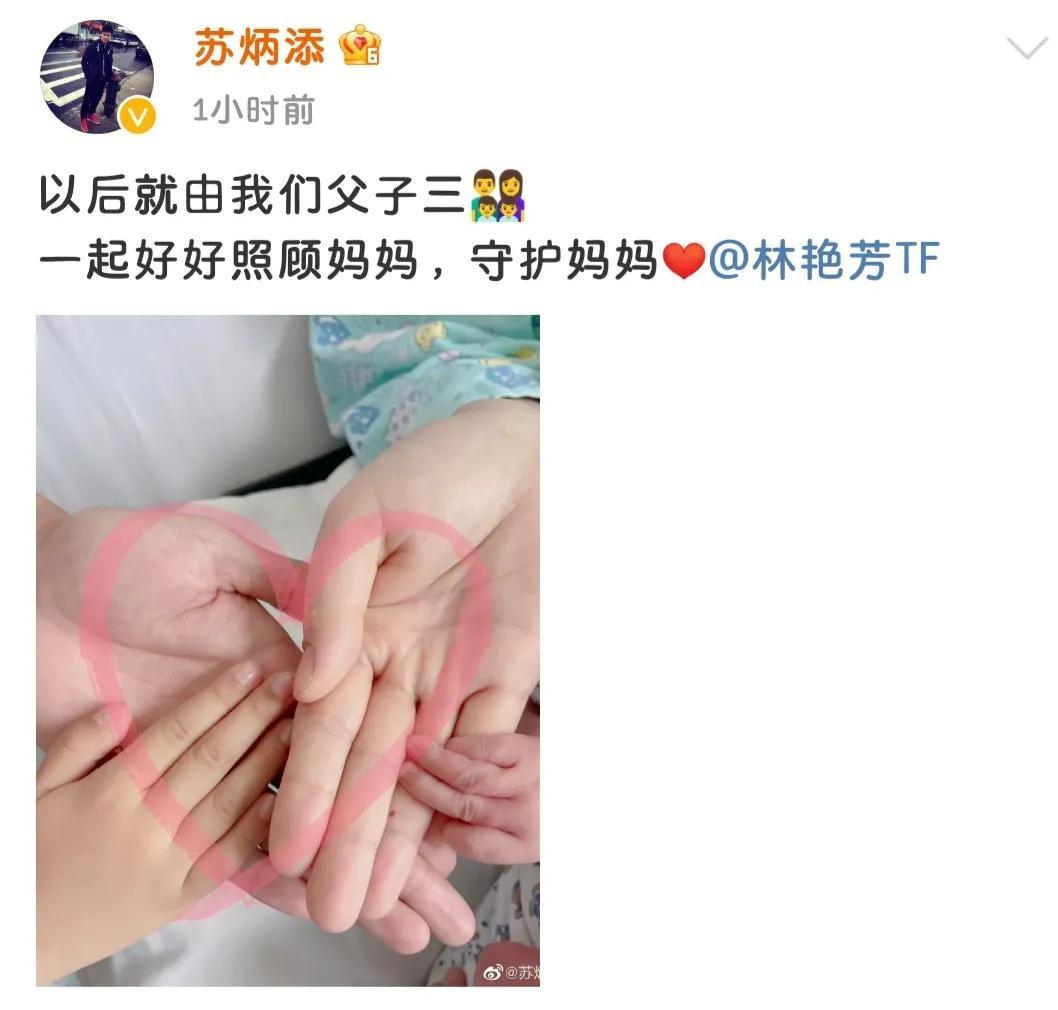 苏炳添官宣二胎得子（苏炳添：用行动诠释男人的担当）