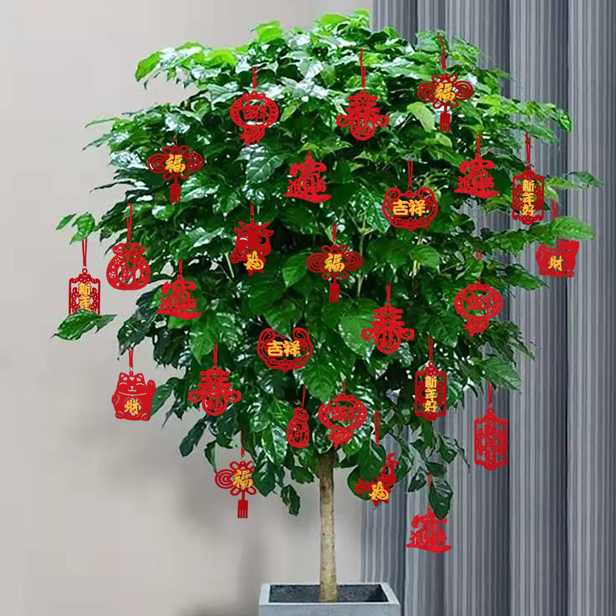 客厅最旺宅的大型植物推荐（九种“旺财”大型的盆栽绿植）