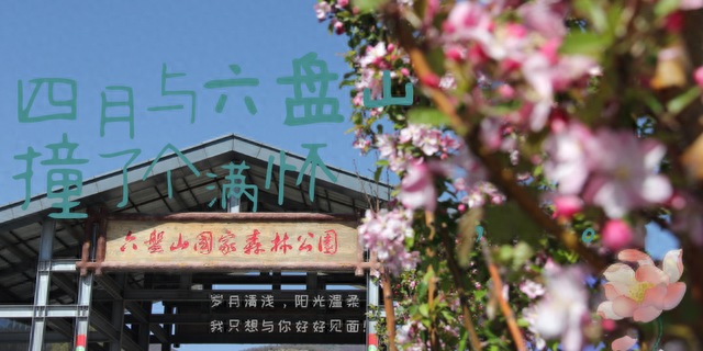 官宣|六盘山国家森林公园开园公告