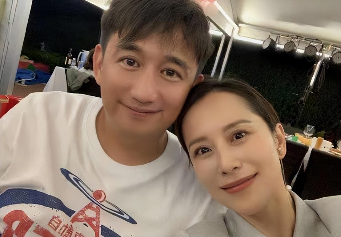 海清主演的电视剧有哪些（海清代表作及如今现状介绍）