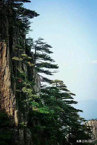 黄山风景摄影图片55幅，欣赏