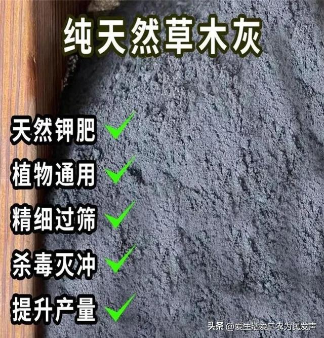 最新投资创业项目，适合年轻人小投资的创业项目（投资几千元就可以做的）