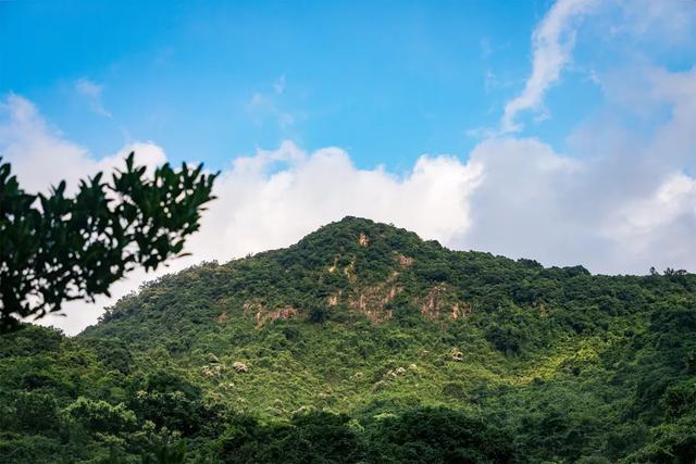 深圳梧桐山好玩嗎(深圳梧桐山最佳去處)