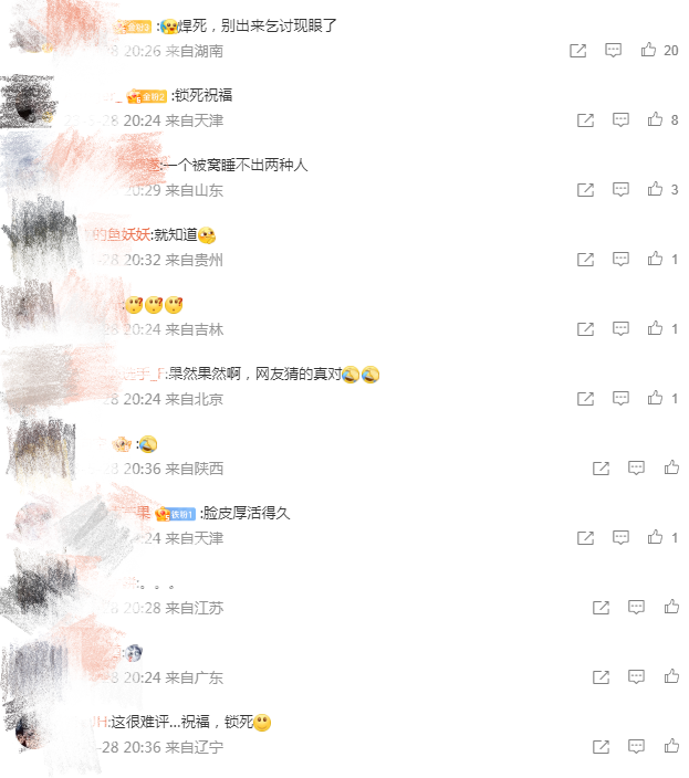 洪欣现任老公是谁（细说张丹峰洪欣离婚闹剧）