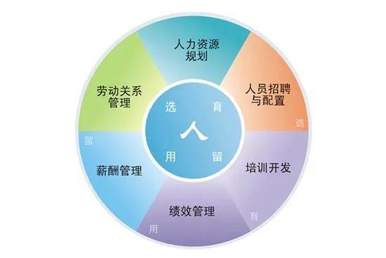 人力资源六大模块内容，人力资源的六大模块的主要内容（人力资源的六大模块）