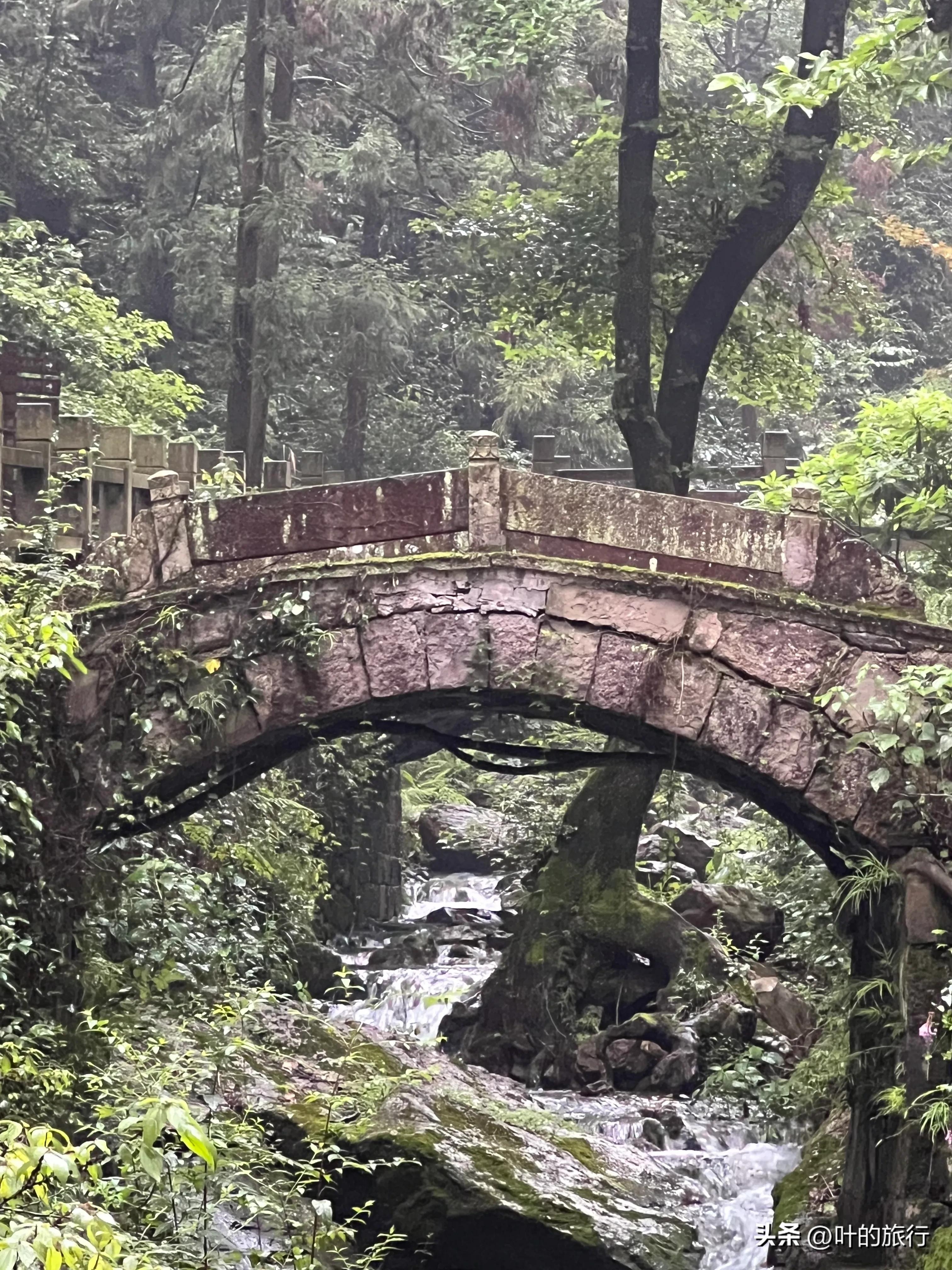 雁荡山好玩吗（雁荡山游玩体验及攻略分享）