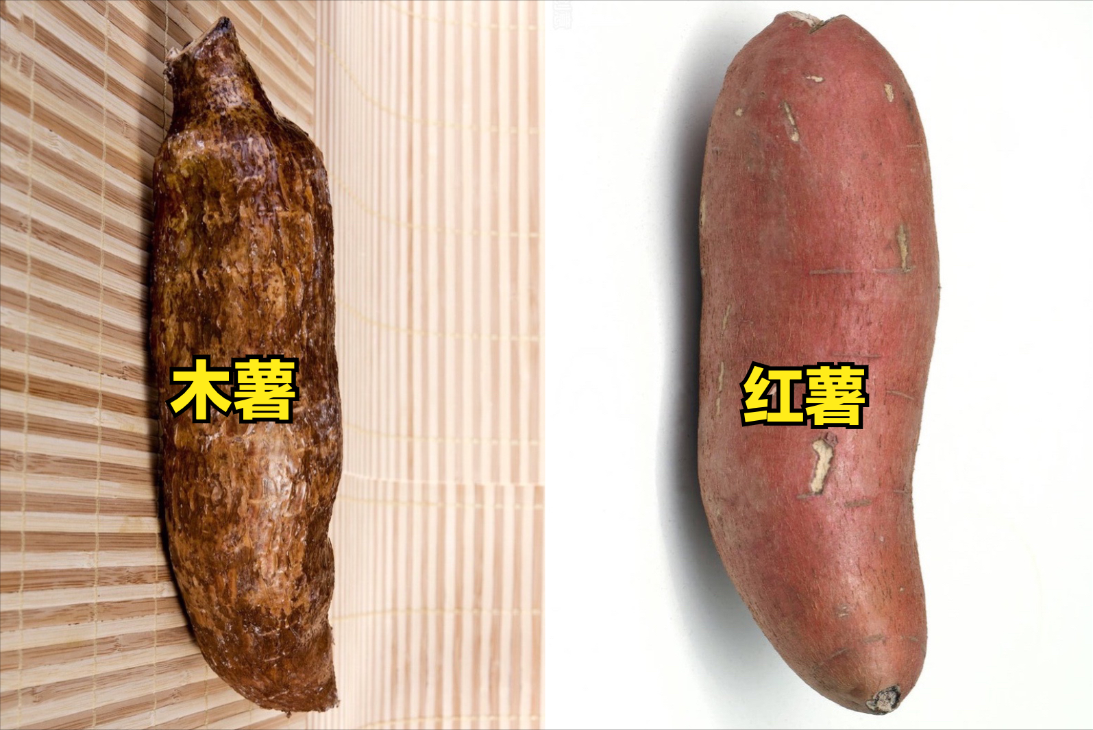 木薯和红薯的区别是什么（浅谈木薯和红薯几大差异）