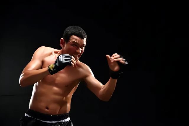 国内华语十部必看动作电影，近20年“最具实战观赏性”10部动作片