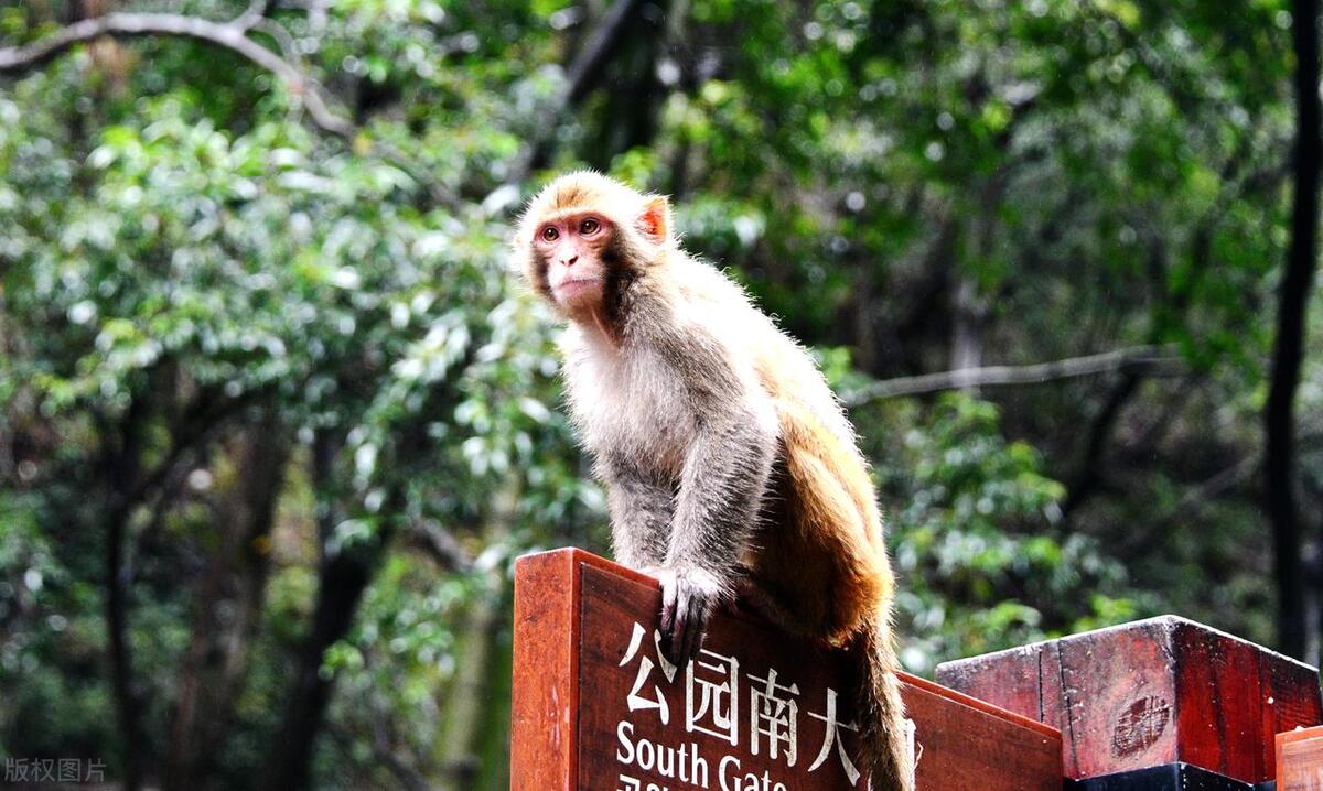 贵阳旅游攻略必玩的景点有哪些（贵阳好玩的地方大盘点）