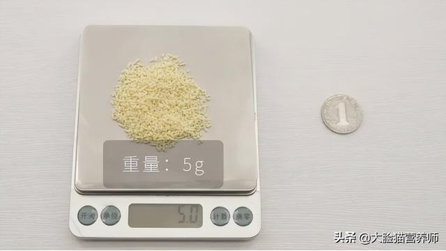 100g是多少两，100g有多少两（让你懂得每天吃多少食物合适）