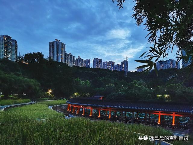 今日重庆公园游玩，这7个公园值得一去