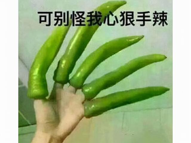 口袋妖怪火金汉化版(口袋妖怪银版)