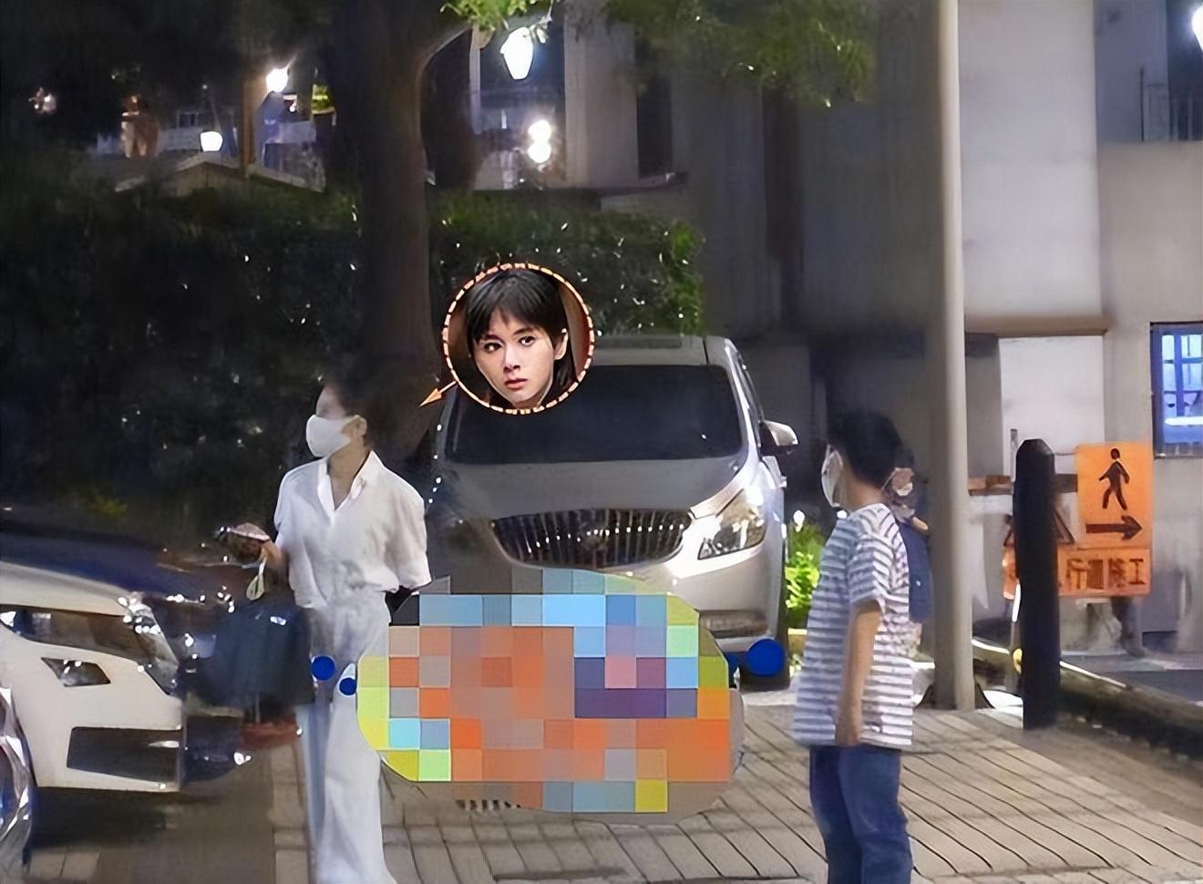 王子文的儿子到底是谁的（儿子生父曝光身份不一般）