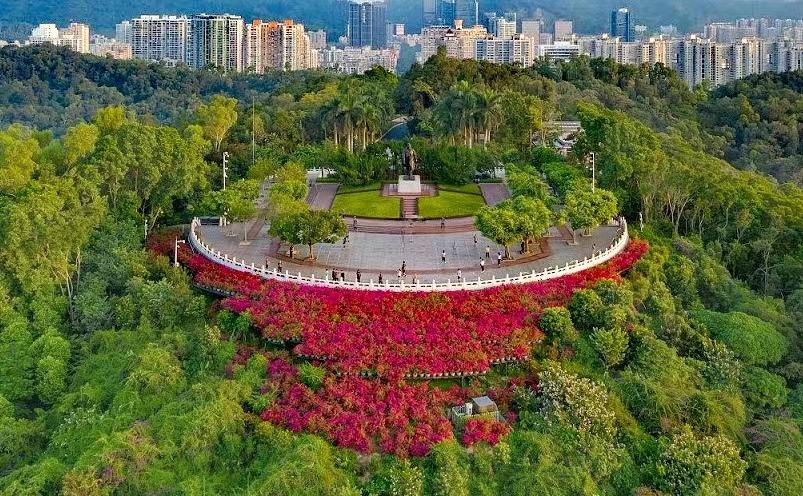 深圳旅游攻略景点推荐（揭秘深圳十大必玩景点）