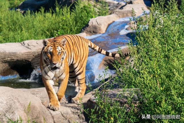 哈尔滨旅游攻略自由行攻略最新，哈尔滨一日游攻略
