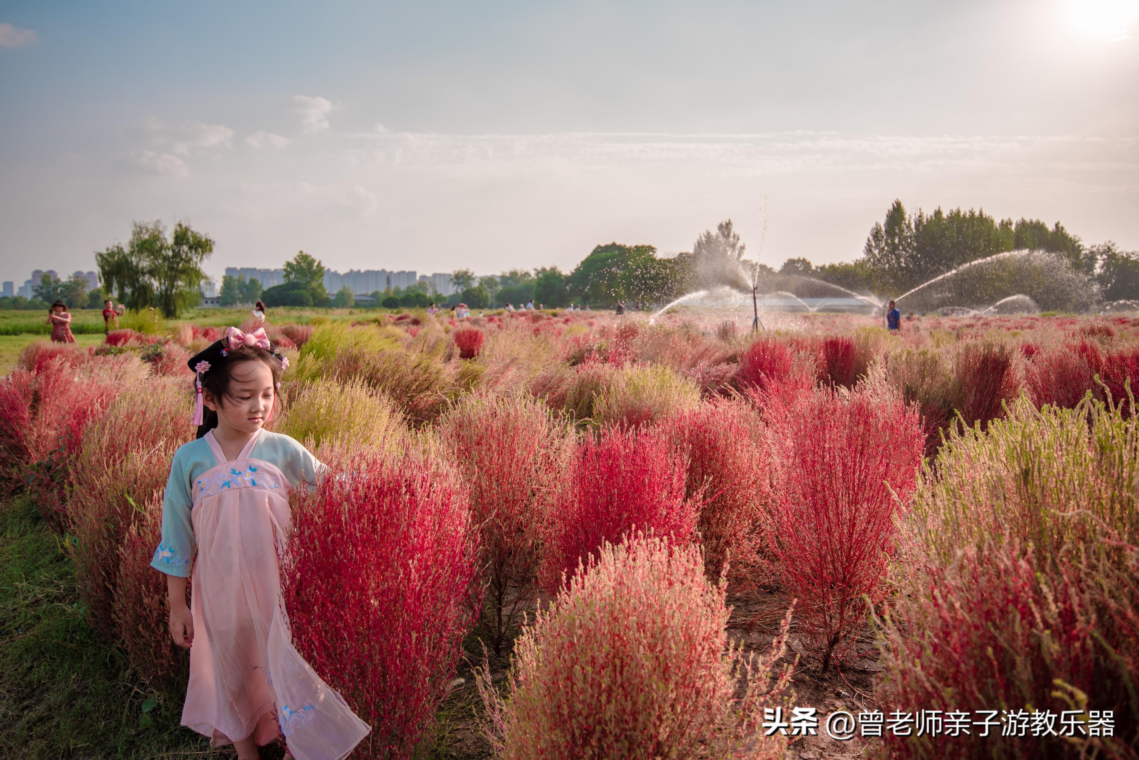 西安好玩的地方有哪些（盘点西安30个值得打卡的景区）