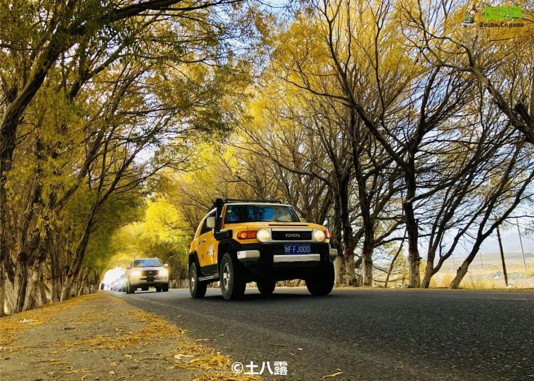 10月份旅游最佳地方推荐（盘点10月最佳旅行地）