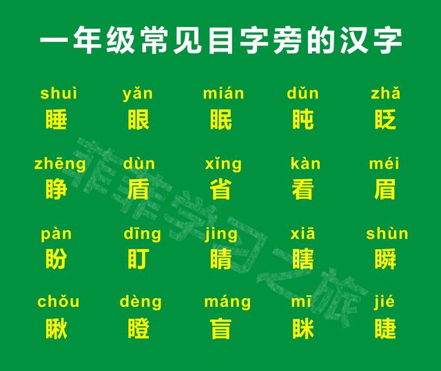 目字旁的有什么字，目字旁的字有哪些（一年级偏旁部首目字旁）