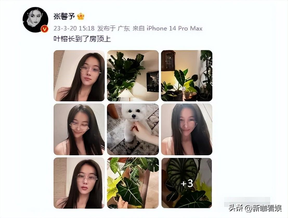 李晨张馨予恋情来龙去脉（细说张馨予李晨恋情史）