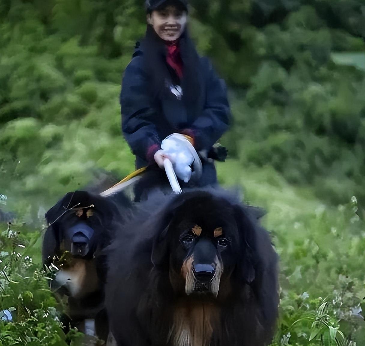 朱茵近况如何（51岁朱茵现状被曝住深山）