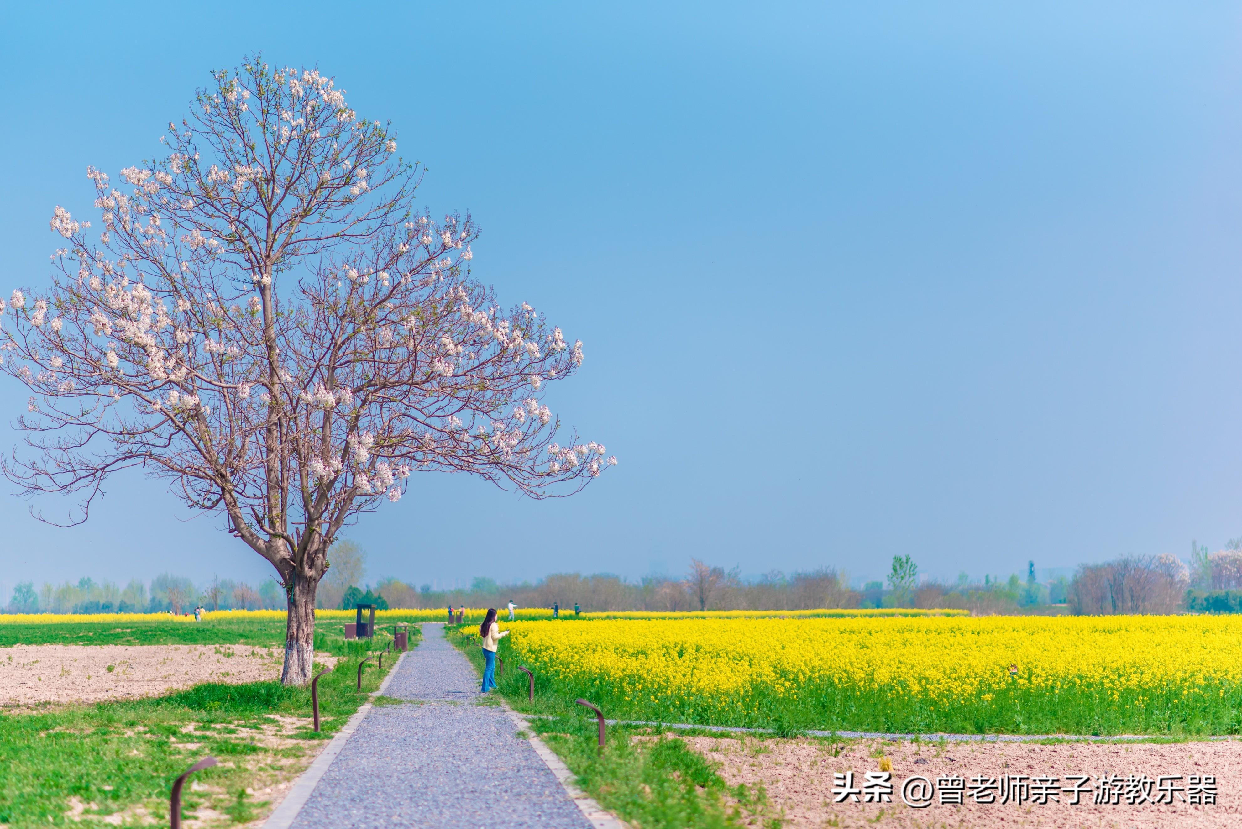 西安好玩的地方有哪些（盘点西安30个值得打卡的景区）