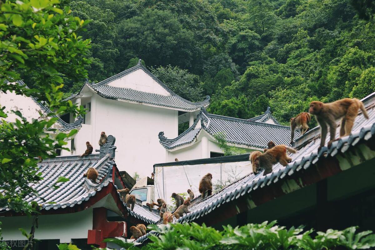 贵阳旅游攻略必玩的景点有哪些（贵阳好玩的地方大盘点）