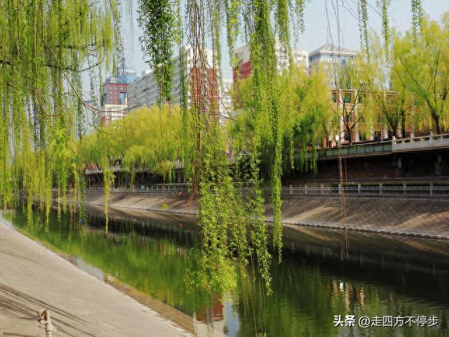 北京滨河公园游记