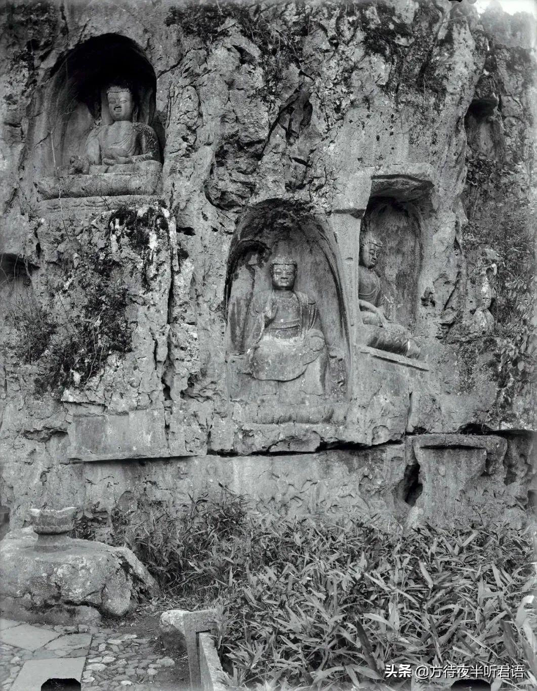 lingtian（1910）