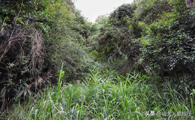 普洱市旅游景点大全，云南普洱有什么景区（发现一个适合发呆放空的好地方）