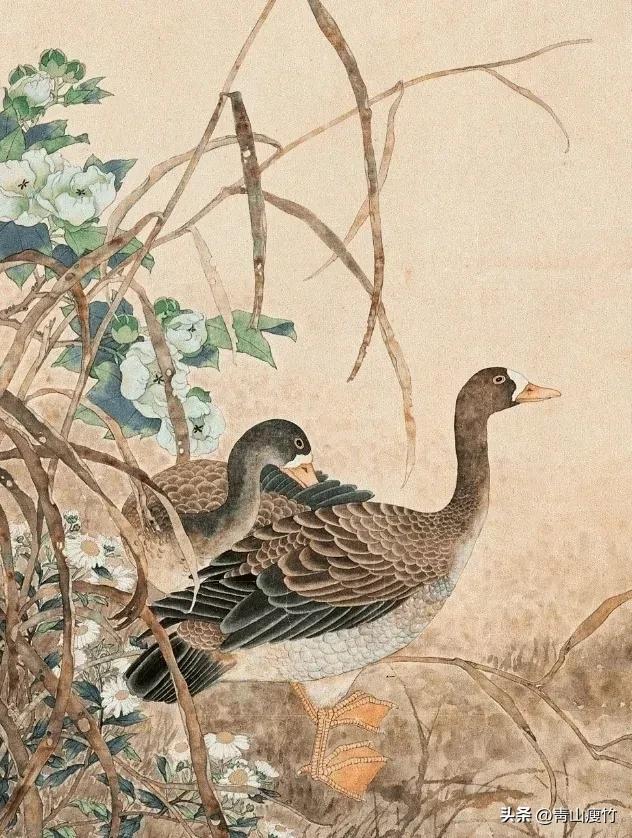 花鸟画作品欣赏，立体横幅小写意花鸟画100幅（精品花鸟画30幅，欣赏）