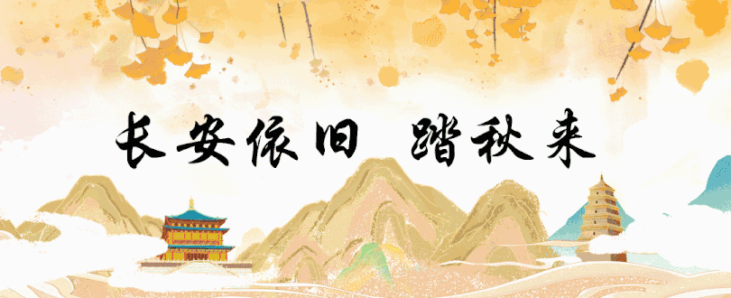 文末福利｜来秦岭野生动物园参加营地派对