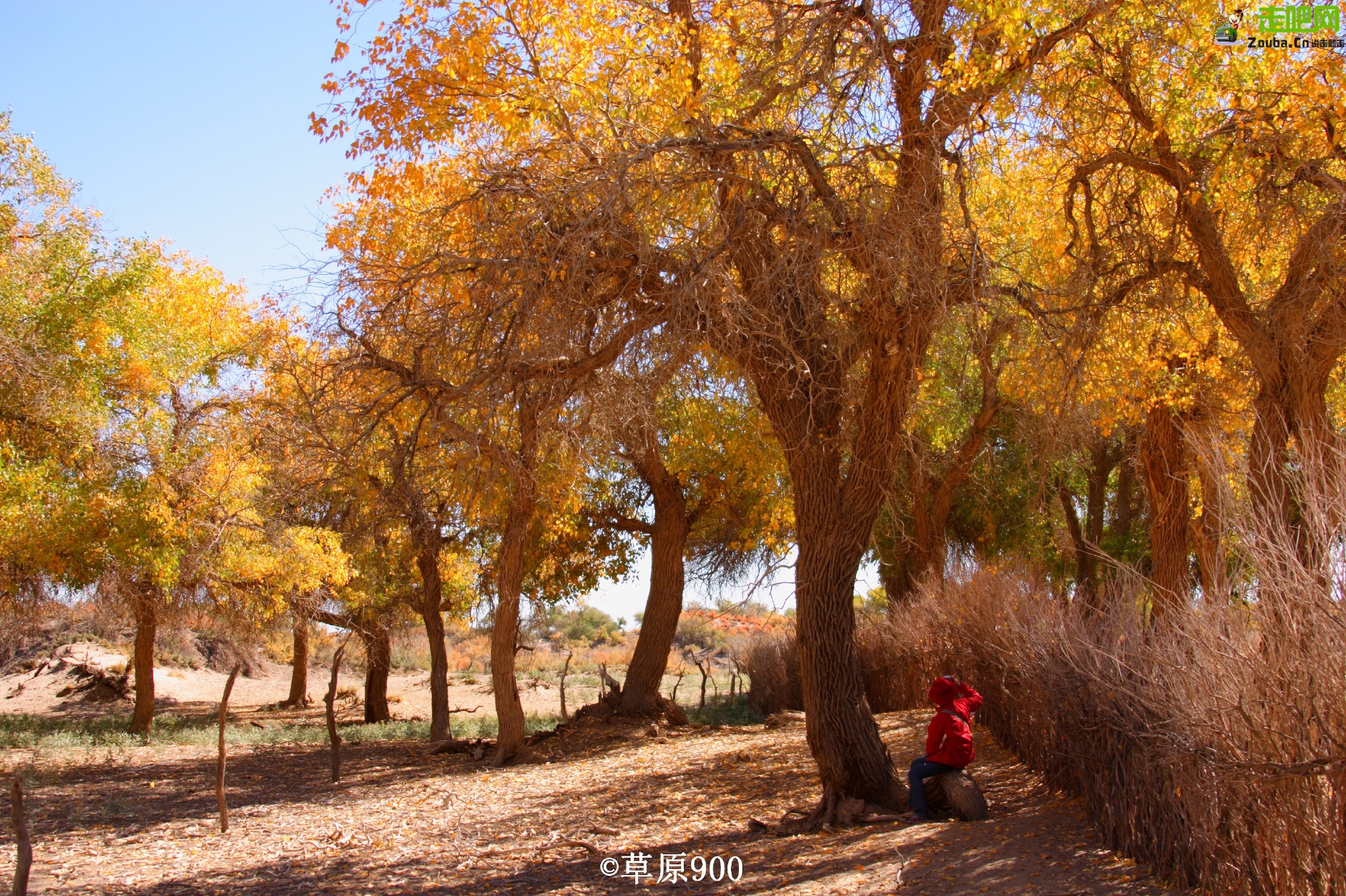 10月份旅游最佳地方推荐（盘点10月最佳旅行地）