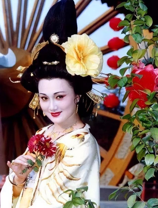 杨贵妃为什么不能生育(杨贵妃没有生育能力)