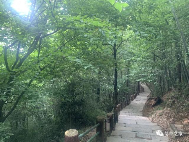 高考结束，成绩还未出，带孩子到敬亭山玩一下吧，看一看江南诗山