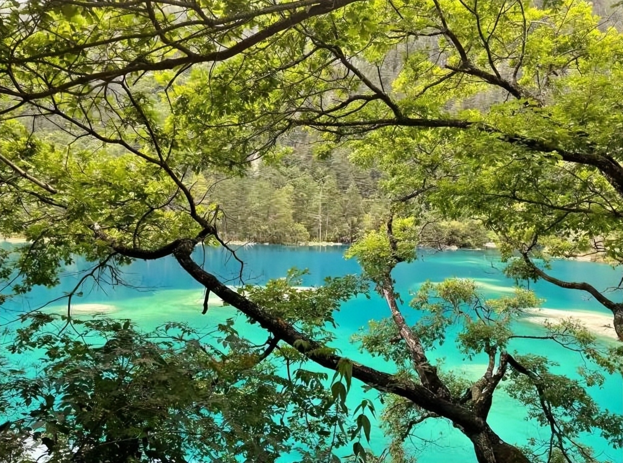 去哪里旅游比较好玩（盘点国内30个值得去的打卡地）