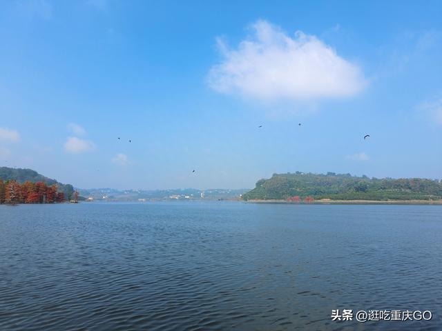 西南地区zui大的人工湖——长寿湖，比我想象中好玩~