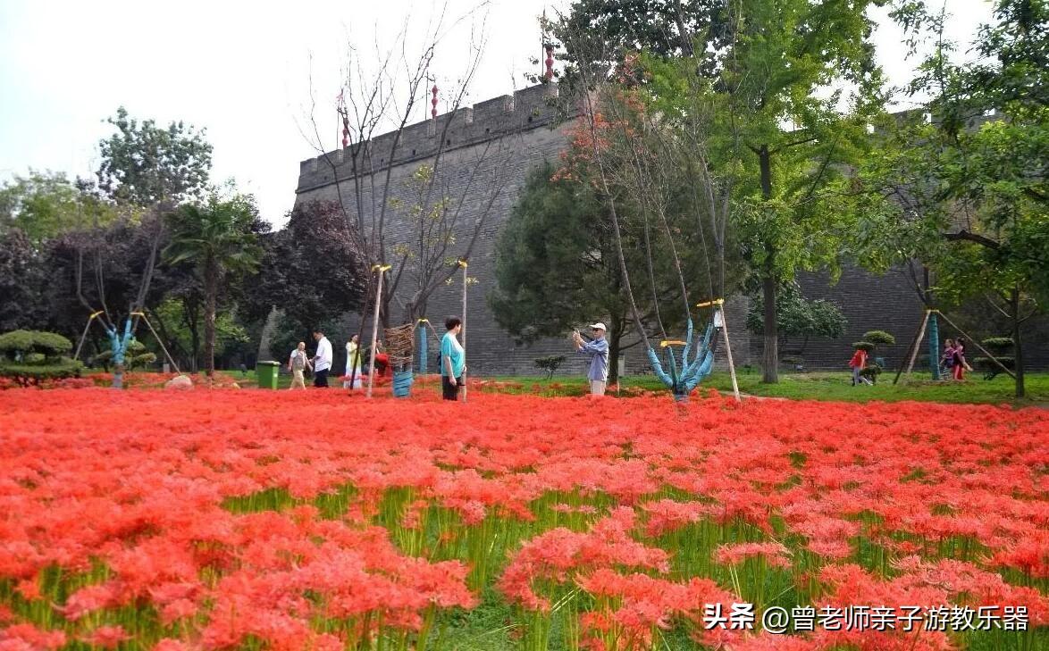 西安有什么好玩的地方（西安10大必游景区推荐）