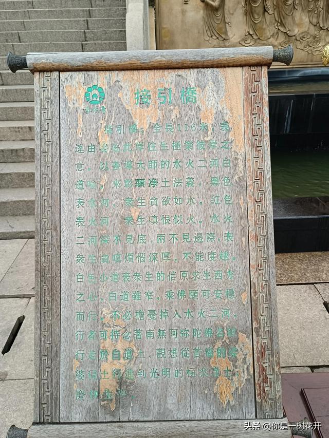 江西东林大佛旅游讲解，高48米全身贴金的东林大佛