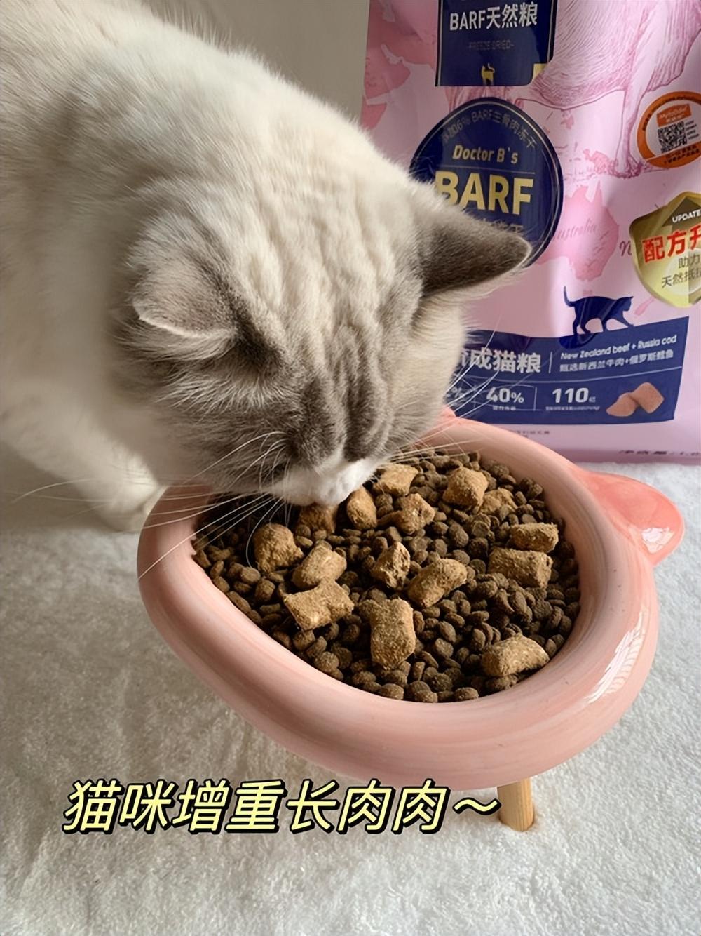 两个月的猫喂多少猫粮（如何根据猫咪体重和年龄合理喂养）