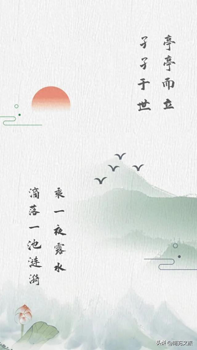 “误入藕花深处”，一起来看看西充的美景吧！