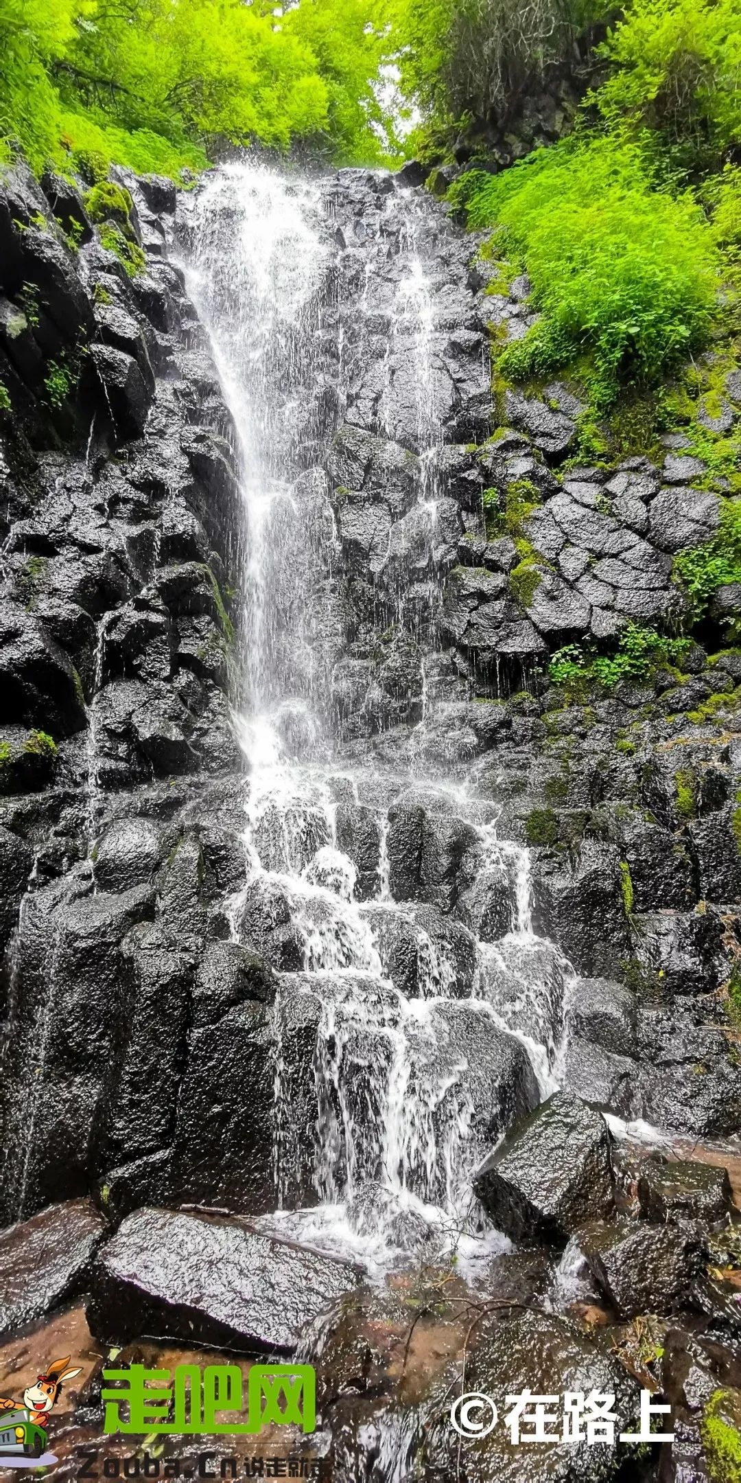 避暑去哪里旅游最好（盘点7/8月国内最清凉避暑地）