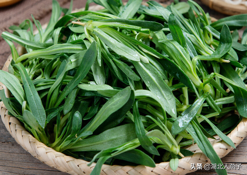 野菜的种类和图片大全（盘点农村50种常见的野菜）