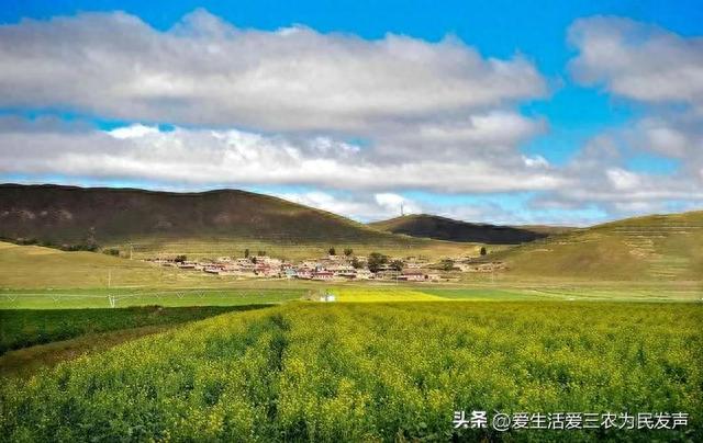 想看大草原？太仆寺旗是个不错的选择，保证你来了就不想走！