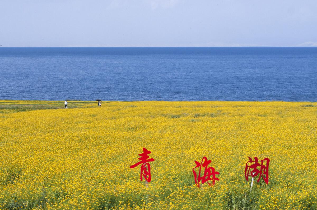 七八月份适合去哪里旅游国内（8月国内最佳旅游目的地推荐）